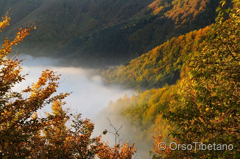 Nuvole e montagna.jpg - a valle il cielo è grigio, ma su oltre le nuvole la montagna si riempie di colori... - downstream the sky is gray, but on the clouds over, the mountain is filled with colors...